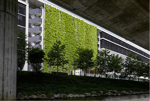 



Mithilfe von Trägerkonstruktionen aus Edelstahl können Fassaden begrünt werden. Sie absorbieren Schall, bieten Sonnenschutz und verbessern das Klima
