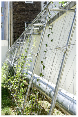 



Pflanzgerüste aus Edelstahl Rostfrei werden in vielen Varianten angeboten. Sie ermöglichen großen Gestaltungsspielraum
