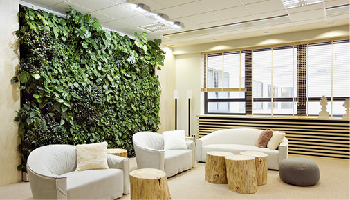 <p>
Auch in Innenräumen entfalten Grünwände eine positive Wirkung: Sie erhöhen den Sauerstoffgehalt und schaffen eine angenehme Atmosphäre
</p>

<p>
</p> - © WZV / Green Fortune


