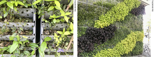 



Zwei Fotos eines frisch bepflanzten Metall-Fassadensystems in der Nähe des Bahnhofs in Bern
