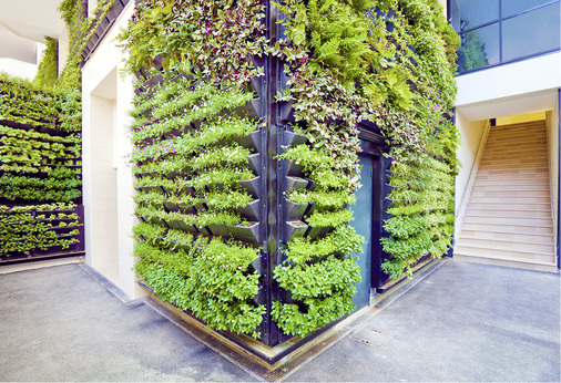 
Fassade mit Pflanzgefäßen, in denen die Wurzeln Halt finden



