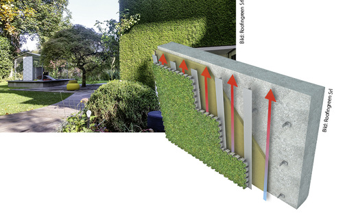



Begrünte Hauswand mit Modulen des Typs Roofingreen Nature Side: An den Unterkon-struktionsschienen des hinterlüfteten Systems erfolgt die Montage der bepflanzten Module
