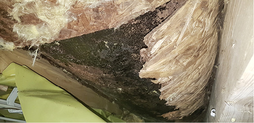 
Massive Schäden an der Tragschale mindern die Tragfähigkeit der Konstruktion



