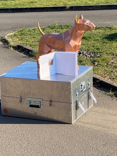 Copper kommt in einer sicheren Box mit Gästebuch gereist