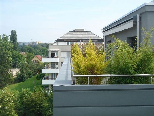 Wohnhaus, Rheinzink-Fassade und Dachrandabdeckung an Attikawohnung - Trächsel