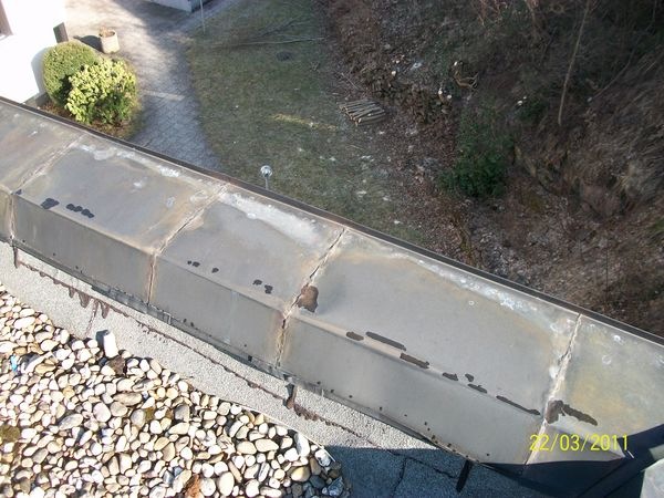 Pfusch am Bau - Buck