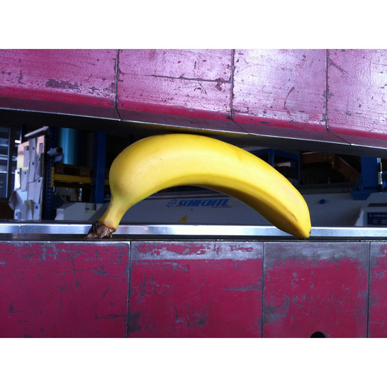 Klempner-Banane