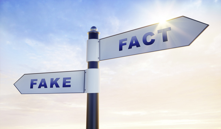 Signpost over evening sky with the words fake fact - © Bild: Getty Images/peterschreiber.media
