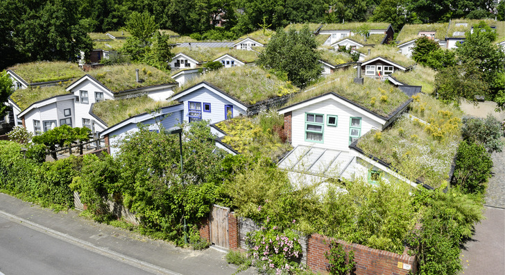 Auf die Dachneigung abgestimmte Begrünungssysteme ermöglichen auch bei Schräg- oder Steildächern eine extensive Begrünung