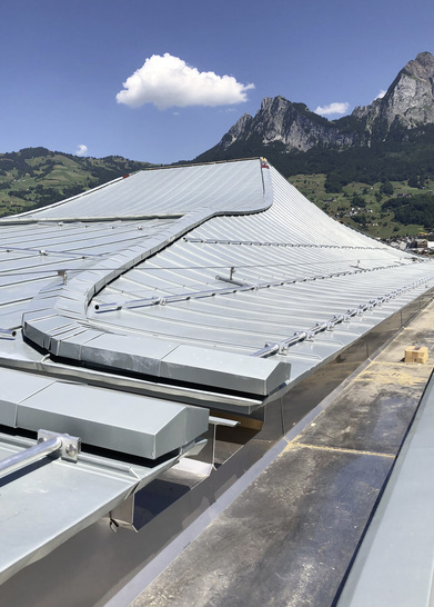Beeindruckend: Die Gliederung der Dachfläche verläuft in geraden und geschwungenen Linien