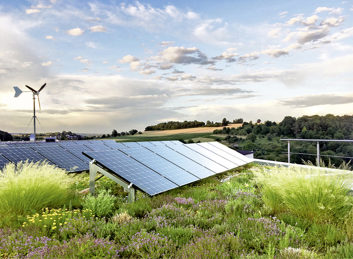 Die aufgeständerten PV-Module auf den Rahmen                                             ﻿sind optimal zur Sonne ausgerichtet