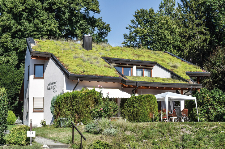 Grüne Dächer, Fassaden und Vorgärten minimieren die Hitzebelastung und sind gut für den Klimaschutz