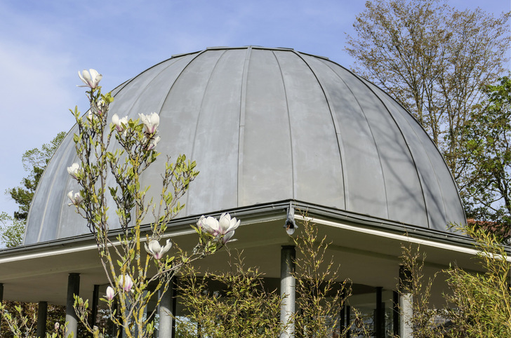 Am kuppelförmigen Dach der Ludowinger Quelle im Thüringer Wald kann man ausgezeichnet den Unterschied zwischen Gratleiste und Falz erkennen - © Bild: BAUMETALL
