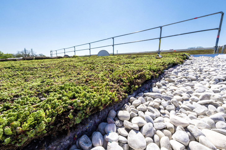 Schick: bekiester Dachrand und begrünte Fläche