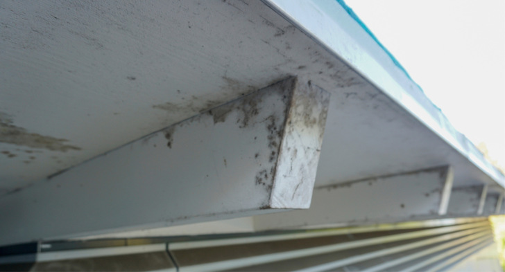 Deutlich erkennbar: ­Schimmelbildung an einem Dachüberstand. Doch liegt das nun an einem Fehler bei der Eindeckung oder ist die ­Ursache woanders zu suchen?