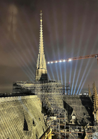 Machen auch bei Nacht eine gute Figur: die Gauben auf dem Hauptdach der Kathedrale von Notre-Dame de Paris