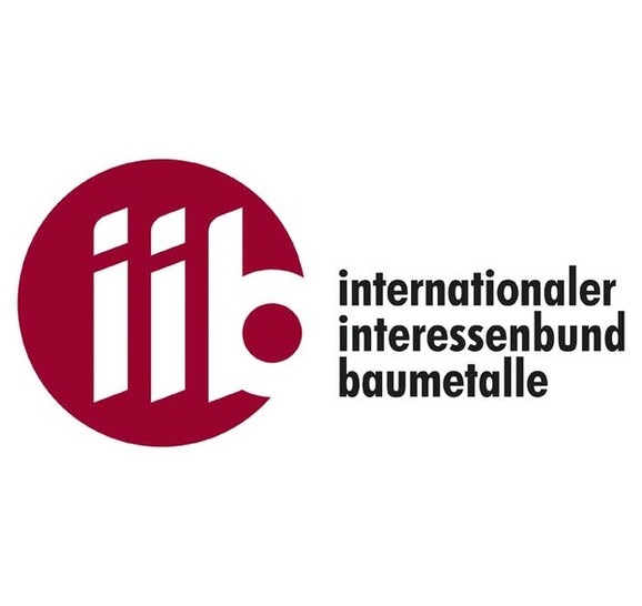 logo_iib_online