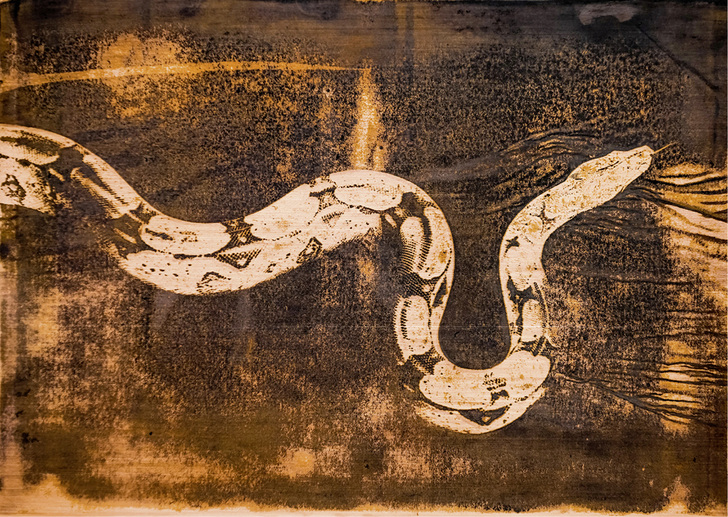 
Silas Aebischer bannt Lieblings fotos auf Kupfer



