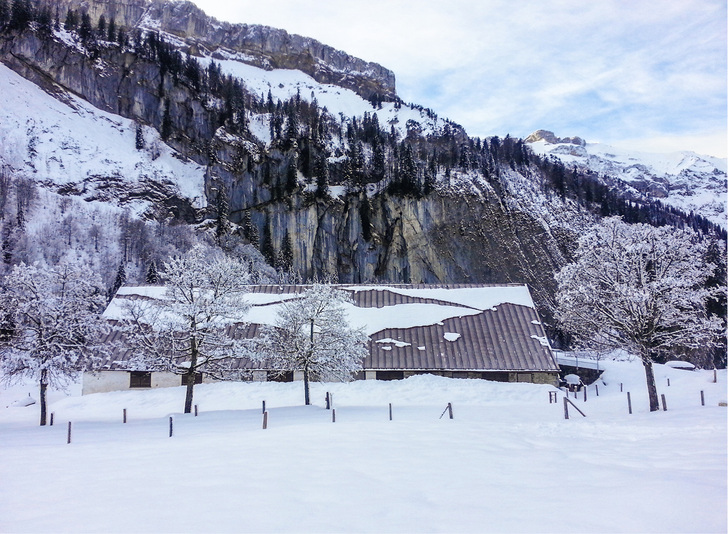 <p>
Eingeschneit: Ohne Schneefang rutschen Lawinen vom Dach und türmen sich vor den Fenstern
</p>

<p>
</p> - © Kling Dach

