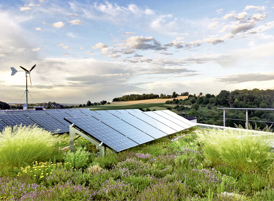 Die aufgeständerten PV-Module auf den Rahmen                                             ﻿sind optimal zur Sonne ausgerichtet