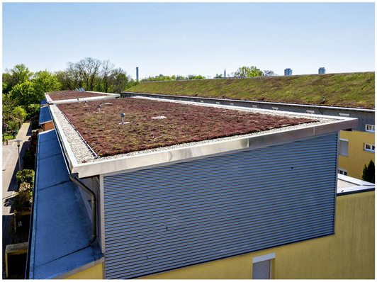 Vorher: Das bestehende Gründach wurde abgetragen und die Holz-­Unterkonstruktion teilweise erneuert