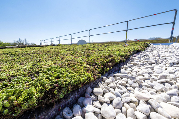Schick: bekiester Dachrand und begrünte Fläche