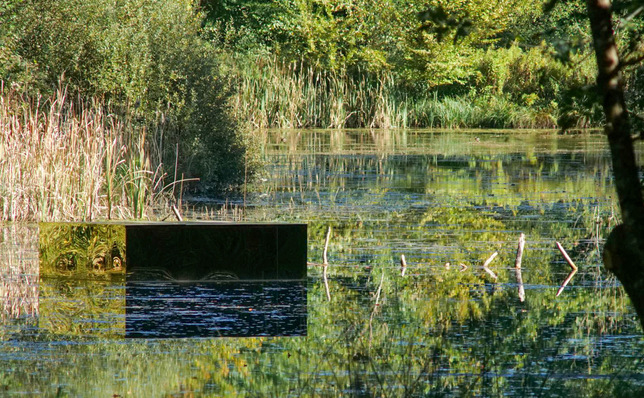 Goldbarren im See, Nathan Egel 2025