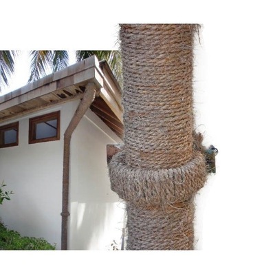 Ich hab‘ die Haare schön!Ein Seil aus Kokosfasern umhüllt ein Ablaufrohr aus Kunststoff samt Rohrschelle. Vorbildliches Rohrdesign aus Fernost oder Notlösung?
