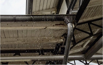 Dieser erfrischende Schnappschuss gelang Uli Kainzinger in Warnemünde
